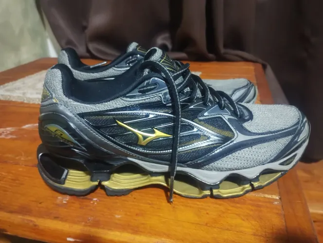 Mizuno propercy