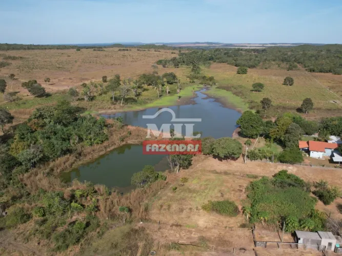 Fazenda 155 Alqueires (750 hectares) Nova Xavantina - MT