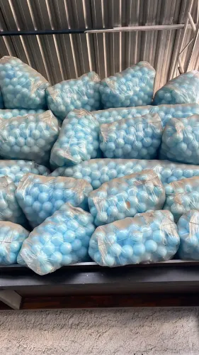 Bolinhas Plástico