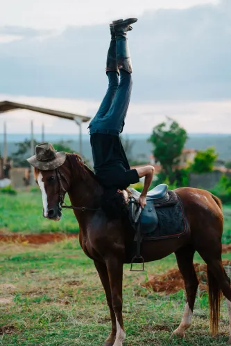 Chácara para eventos com cavalos