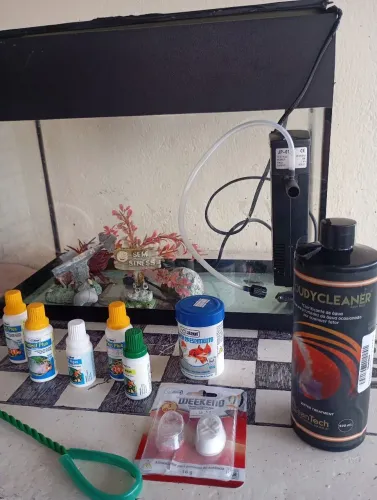 Aquário de 15 litros 