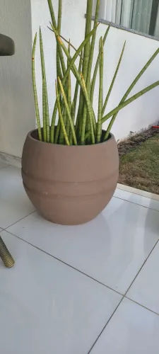 Caqueiro