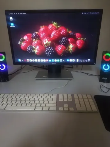 Monitor Dell
