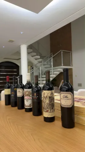Vinhos Argentinos Pronta Entrega