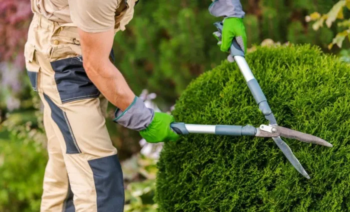 PODAS E JARDINAGEM - DEIXE SEU ESPAÇO MAIS BONITO! 