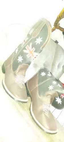 Bota Country 43