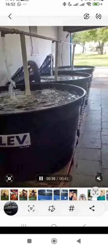 Prestação de serviço 