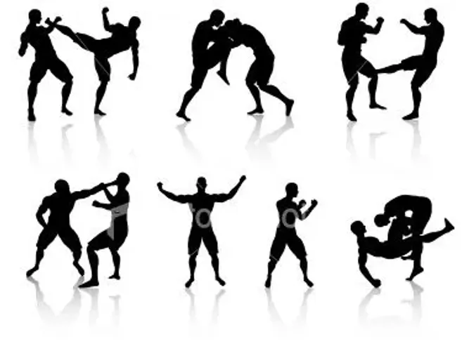 Procura se Alguém para Treino de sparring remunerado