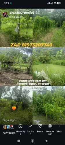 sítio