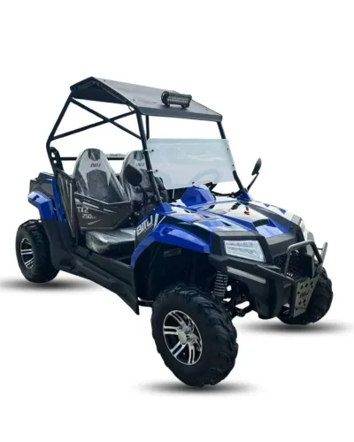 UTV TX2 250 EFI 2026 (0km Pronta entrega) em até 12x sem juros no cartão