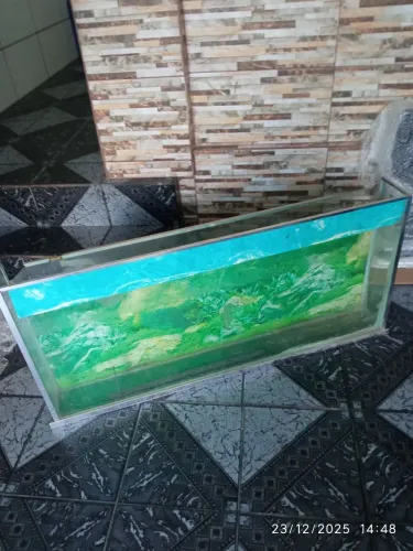 Aquário de parede