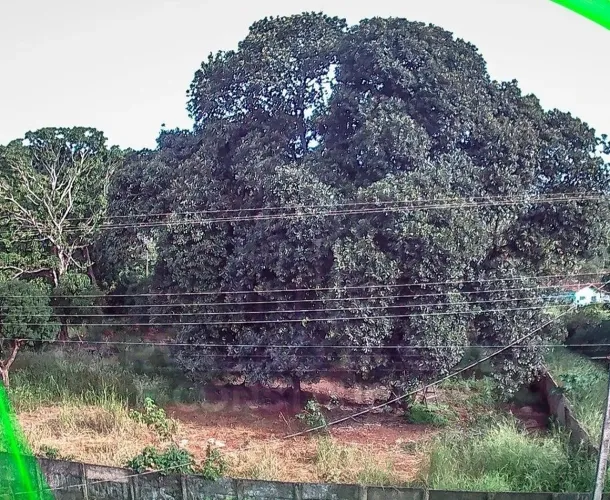 Vende lote na cidade de Rialma Goiás
