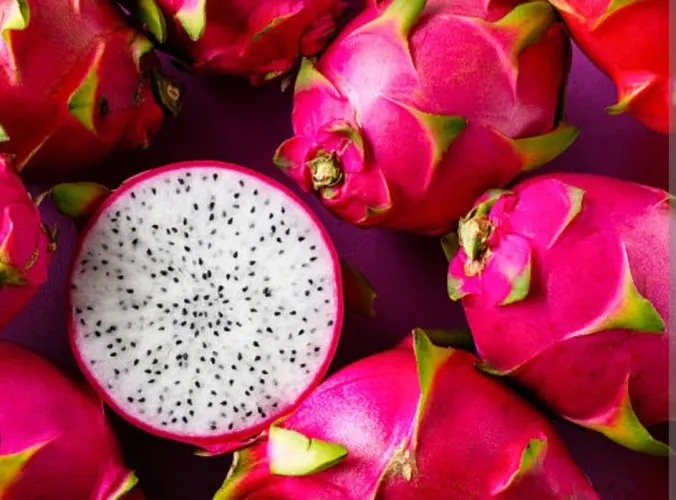 Vendo mudas de Pitaya Branca 