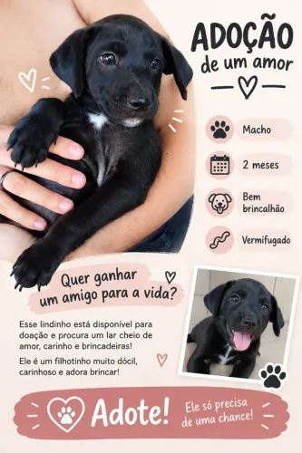 ADOTE UM FILHOTINHO