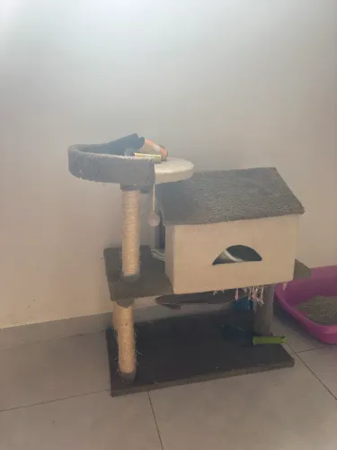 Casinha para gato