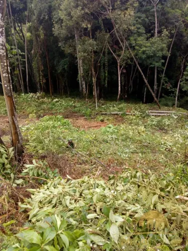 TERRENO À VENDA EM TERRA PRETA COM 2.526M² ÓTIMA OPORTUNIDADE!