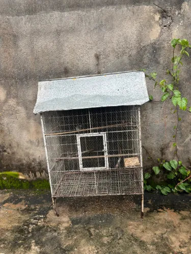 Viveiro para aves