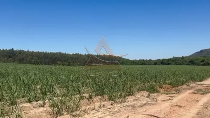 Fazenda - Tambaú - Zona Rural