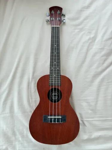 Ukulele winner concert 11023 novo