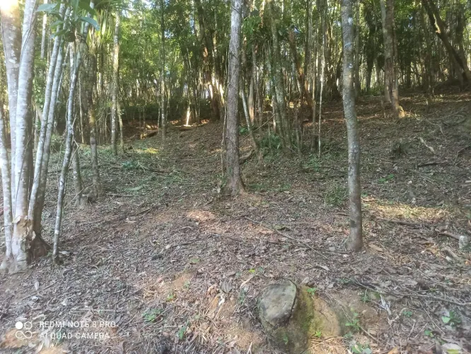 chácara em Antonina