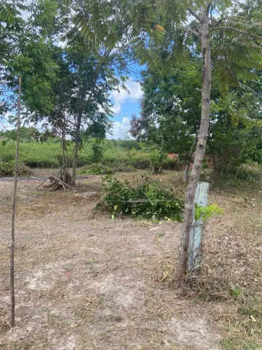 Vende-se terreno em Leandrinho distrito de Dias Davila 