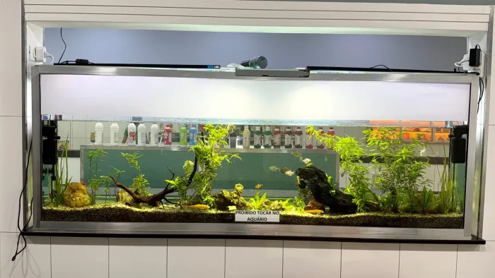 Aquário 430 litros. VEJA DETALHES ABAIXO.