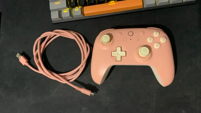 Controle 8Bitdo com fio, comprei outro controle