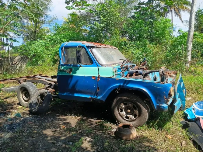 Chevrolet D-10 Diesel 1981