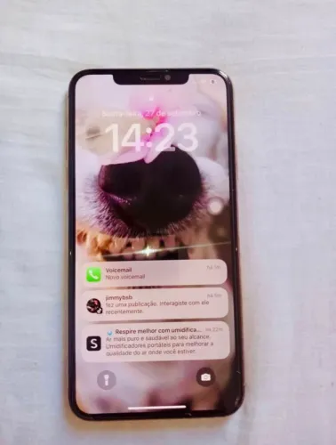 iPhone 11 Pro Max Gold