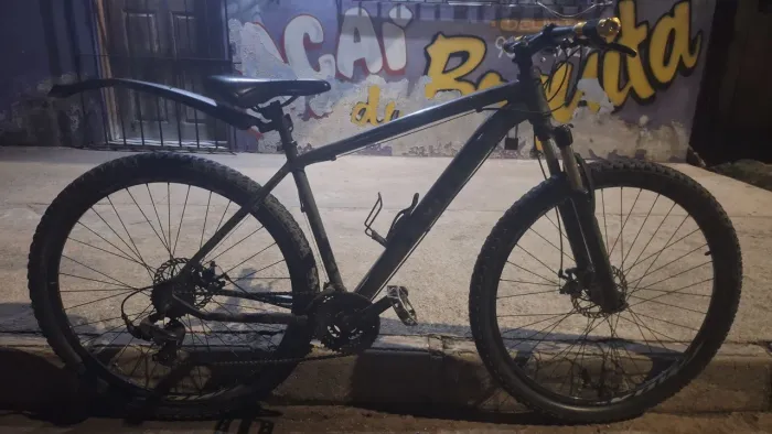 Bicicleta Aro 29