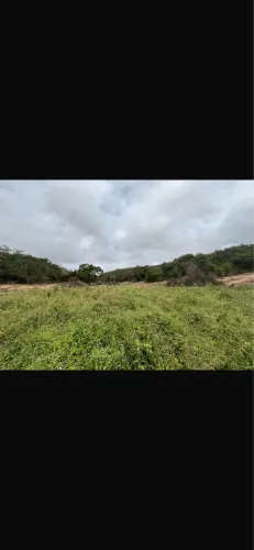Fazenda de 234 tarefas (71 hec) em Itapicuru/ Povoado Curralinho 
