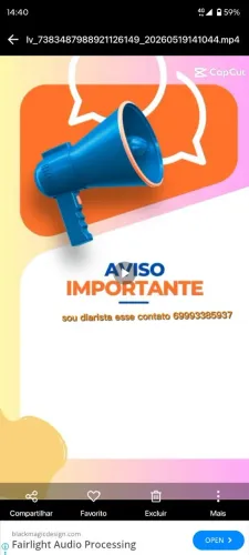 Diarista 