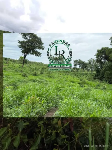 Fazenda Pecuária 97 Alqueires