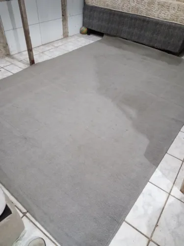 (Cód 038) Tapete Felpudo 3m x 2m todo em bom estado