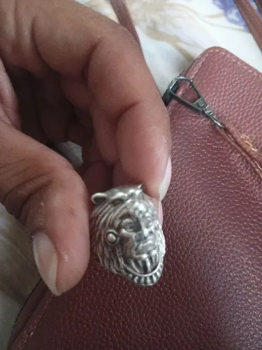 PRATA DETALHADA A MÃO