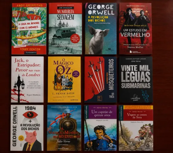 Lote com 12 livros