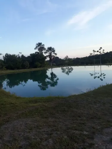 Sitio em Marajo Goias