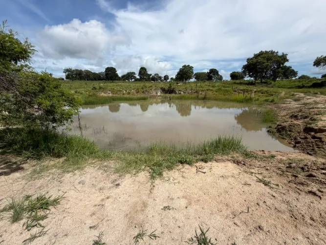 Oportunidade Rural