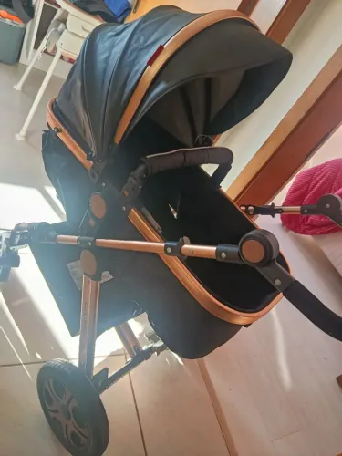 Carrinho de Bebê Moisés 