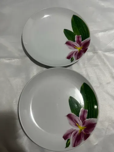 conjunto 2 pratos planta porcelana cozinha finlandek usada