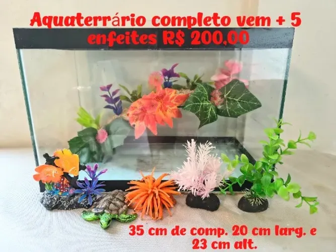 Aquaterrário