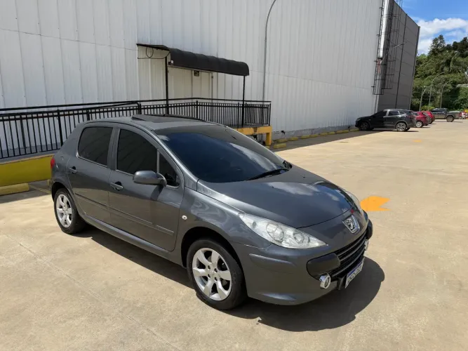 Peugeot 307 Soleil/ Presence 1.6/1.6 Flex 16V 5P 2010