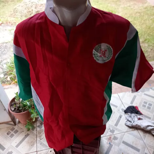 Camisa da escola de samba x9 paulistana ala musical