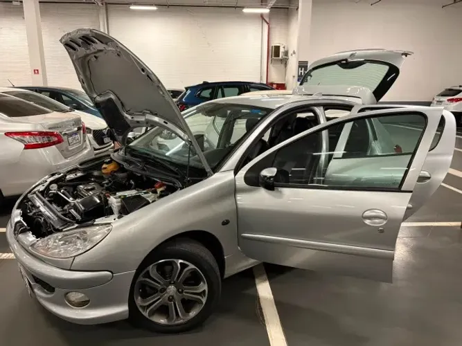 Peugeot 206 Feline 1.4/ 1.4 Flex 8V 5P 2008