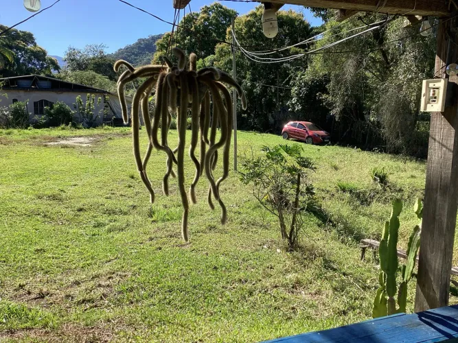 Venda / Aluguel Temporada
