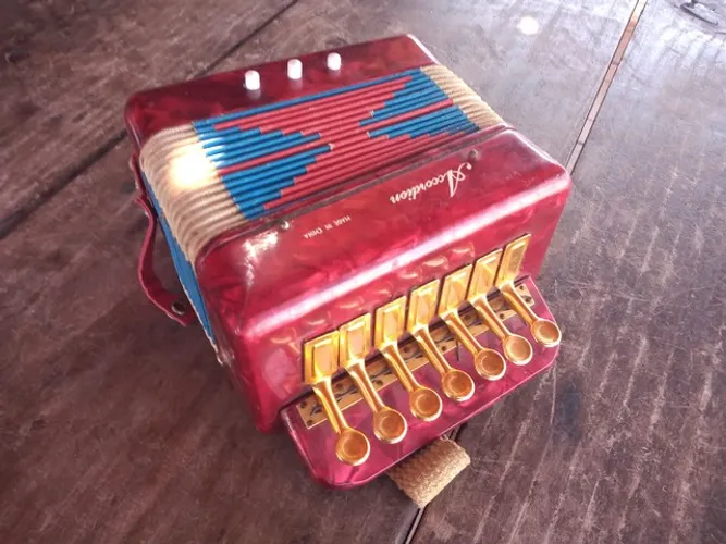 Acordeon infantil 