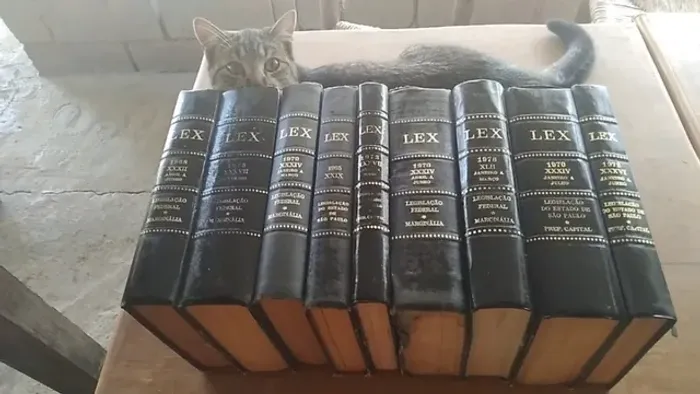 Lote com 20 livros de Direito Capas duras / decoração de escritórios / LEX