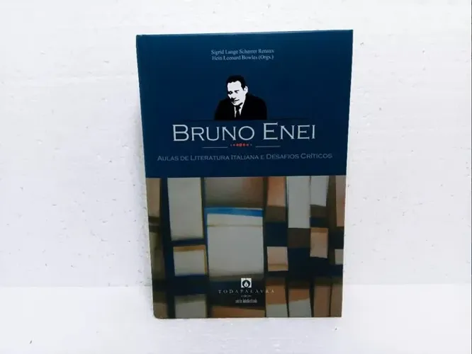 Livro Bruno Enei Aulas De Literatura Italiana E Desafios Críticos / Sigrid Lange Scherrer
