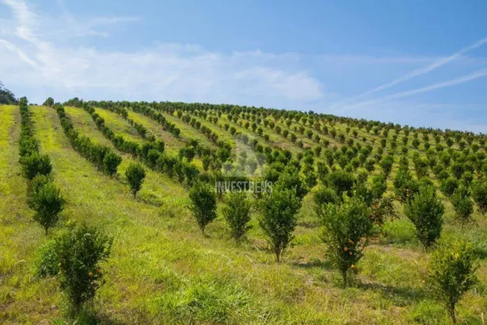 Fazenda a venda Moeda MG