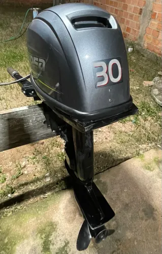 Motor 30hp + canoa